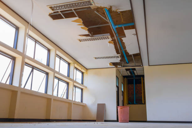 Best Mold removal after water damage  in Morganfield, KY