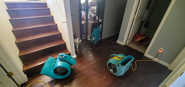 Best Water damage restoration specialists  in Morganfield, KY