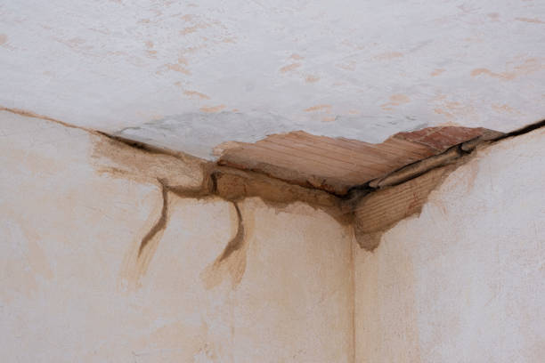 Best Water damage restoration near me  in Morganfield, KY