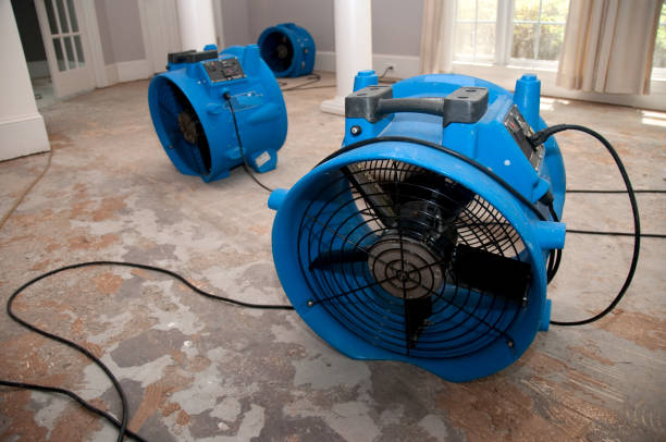 Best Flood damage cleanup  in Morganfield, KY