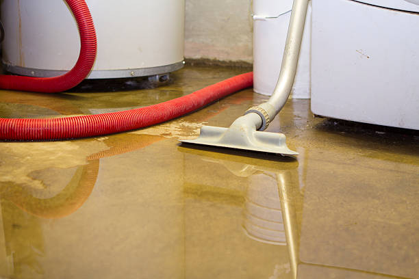Best Flood restoration services  in Morganfield, KY